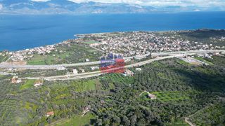 Αγροτεμάχια 6.000 τ.μ. για πώληση, Αχαΐα, Αιγιάλεια-thumb-2