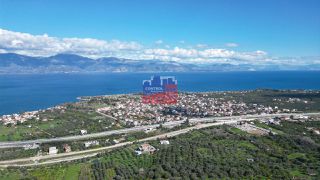 Αγροτεμάχια 6.000 τ.μ. για πώληση, Αχαΐα, Αιγιάλεια-thumb-8
