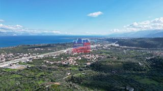 Αγροτεμάχια 6.000 τ.μ. για πώληση, Αχαΐα, Αιγιάλεια-thumb-9