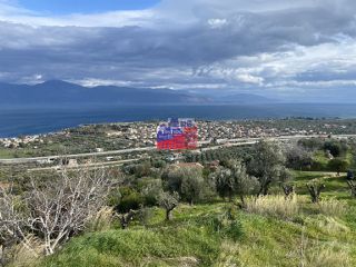 Αγροτεμάχια 6.000 τ.μ. για πώληση, Αχαΐα, Αιγιάλεια-thumb-10