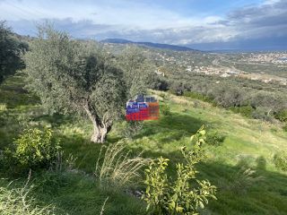 Αγροτεμάχια 6.000 τ.μ. για πώληση, Αχαΐα, Αιγιάλεια-thumb-12