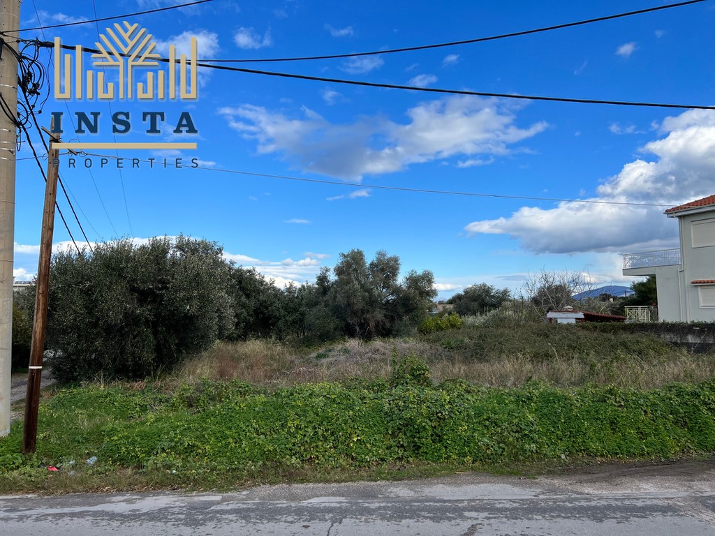 Οικόπεδο 1.600 τ.μ. πρός πώληση, Αττική - Υπόλοιπο, Κάλαμος