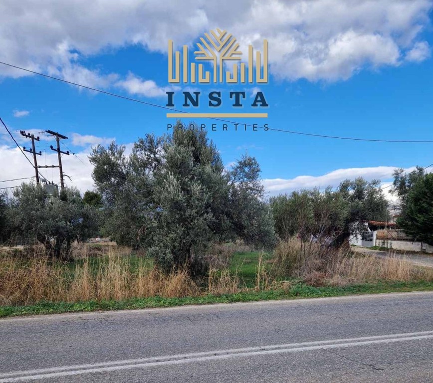 Οικόπεδο 3.150 τ.μ. πρός πώληση, Αττική - Υπόλοιπο, Ωρωπός