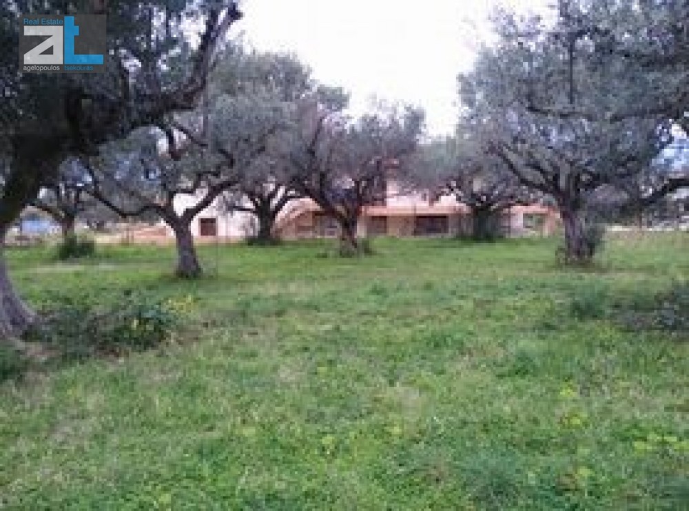 Οικόπεδο 1.172 τ.μ. προς πώληση, Αχαΐα, Ρίο