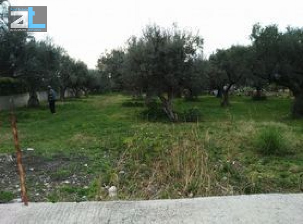 Οικόπεδο 1.172 τ.μ. προς πώληση, Αχαΐα, Ρίο