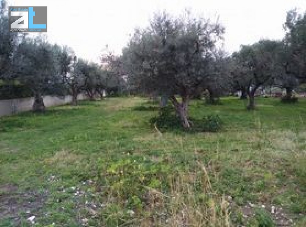 Οικόπεδο 1.172 τ.μ. προς πώληση, Αχαΐα, Ρίο