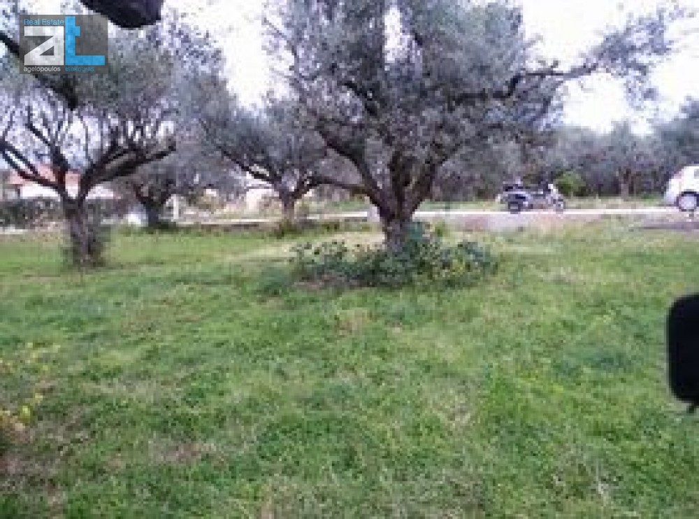 Οικόπεδο 1.172 τ.μ. προς πώληση, Αχαΐα, Ρίο