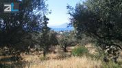 Parcel 3.681sqm for sale-Paralia » Mintilogli