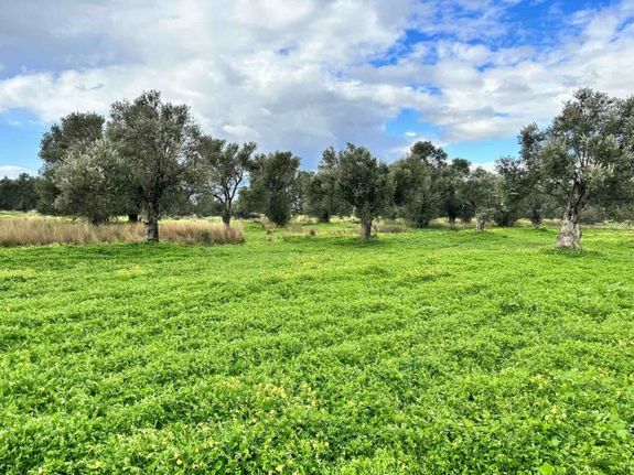 Οικόπεδο 13.965 τ.μ. για πώληση, Ν. Ηρακλείου, Τυμπάκι