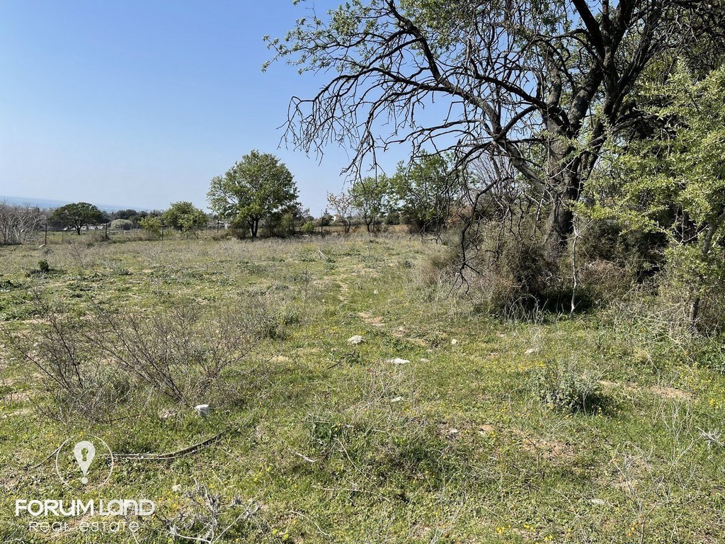 Αγροτεμάχια 3.000 τ.μ. προς πώληση, Κέντρο Πανοράματος