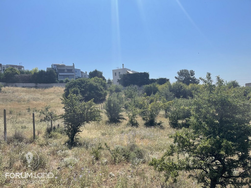 Αγροτεμάχια 3.000 τ.μ. προς πώληση, Κέντρο Πανοράματος