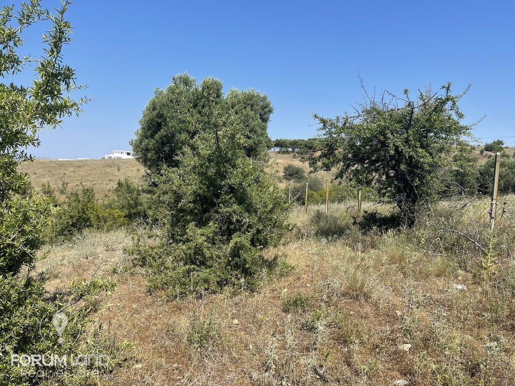 Αγροτεμάχια 3.000 τ.μ. προς πώληση, Κέντρο Πανοράματος