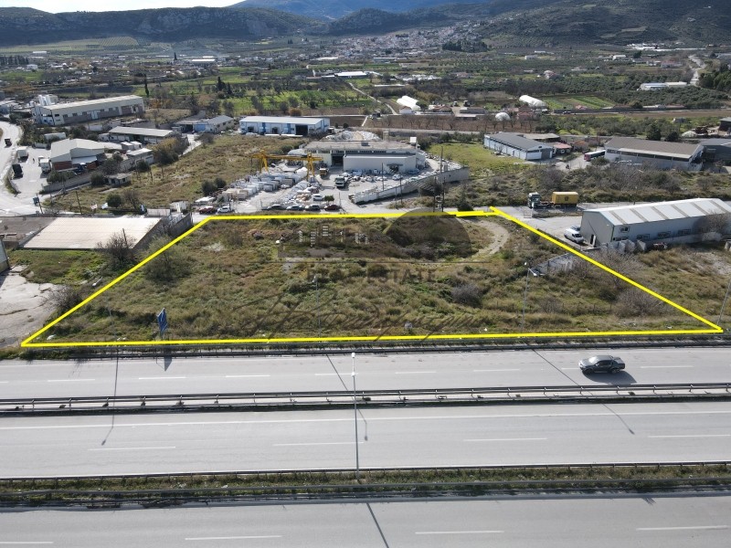 Αγροτεμάχια 4.499 τ.μ. πρός πώληση, Μαγνησία, Νέα Ιωνία Βόλου