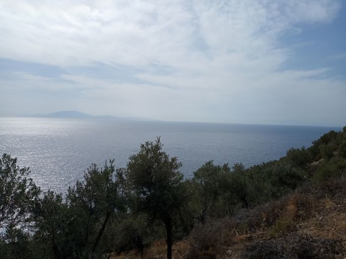 Αγροτεμάχια 12.000 τ.μ. για πώληση, Ν. Λέσβου, Λέσβος - Γέρας