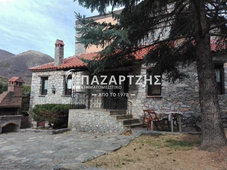 Detached home 110sqm for sale-Edessa » Agras