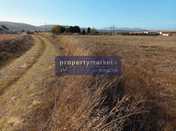 Parcel 6.400 sqm for sale, Lesvos Prefecture, Limnos - Moudros