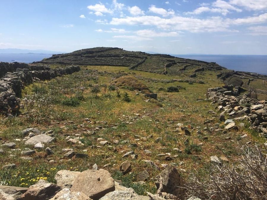 Αγροτεμάχια 8.061 τ.μ. προς πώληση, Τριπόταμος Τήνου