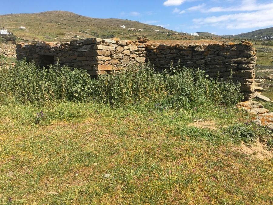 Αγροτεμάχια 8.339 τ.μ. προς πώληση, Τριπόταμος Τήνου
