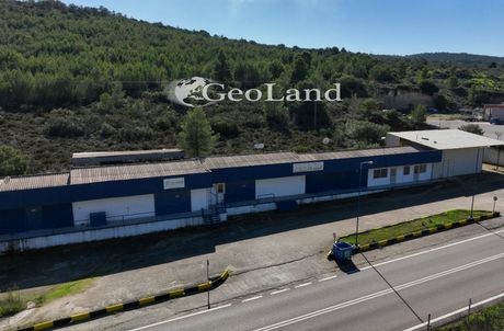 Business bulding 527 sqm for sale