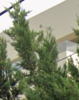 Μεζονέτα 160τ.μ. για πώληση-Κορωπί » Αγία μαρίνα