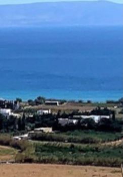 Οικόπεδο 18.500 τ.μ. για πώληση