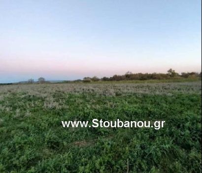 Parcel 70.000sqm for sale-Tragano » Center