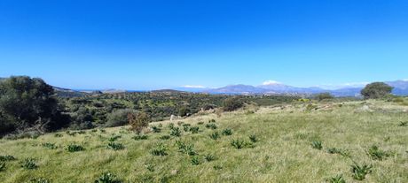 Land plot 4.200sqm for sale-Moires » Listaros