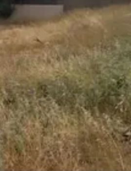 Land plot 902sqm for sale-Alimos » Center