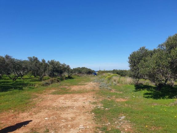 Οικόπεδο 24.216 τ.μ. για πώληση, Ν. Χανίων, Ακρωτήρι