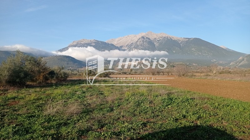 Οικόπεδο 695 τ.μ. προς πώληση, Κέντρο Δαύλειας