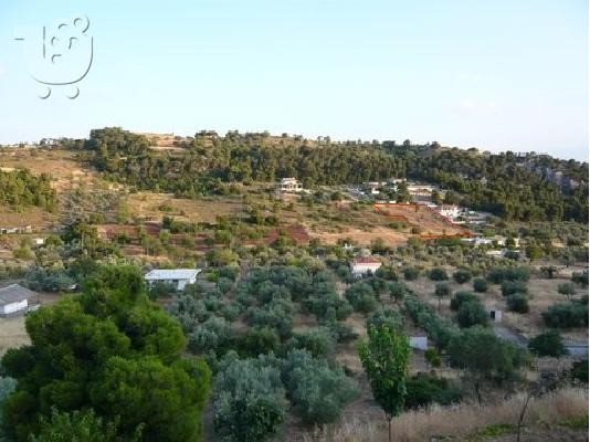 Οικόπεδο 2.050 τ.μ. πρός πώληση, Κορινθία, Λουτράκι-Περαχώρα