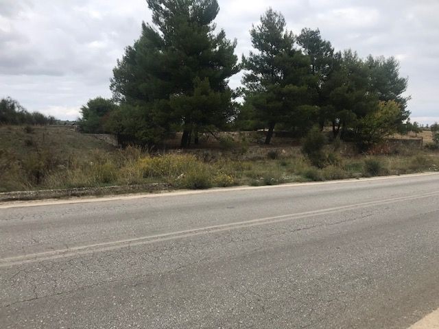 Οικόπεδο 1.835 τ.μ. πρός πώληση, Κορινθία, Σικυώνα