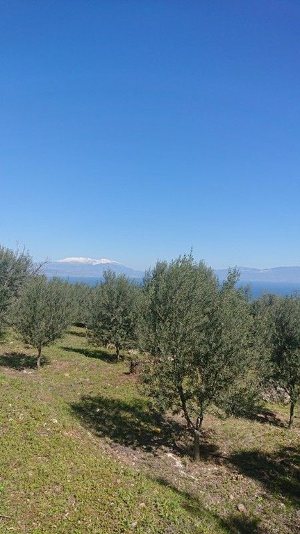 Οικόπεδο 1.070 τ.μ. πρός πώληση, Κορινθία, Ξυλόκαστρο
