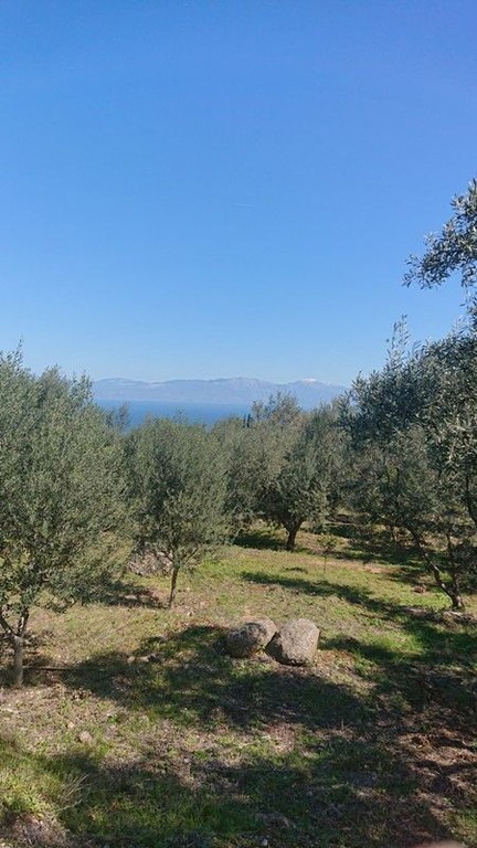 Οικόπεδο 1.070 τ.μ. πρός πώληση, Κορινθία, Ξυλόκαστρο