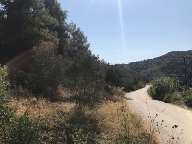 Αγροτεμάχια 6.000 τ.μ. προς πώληση, Μούλκι
