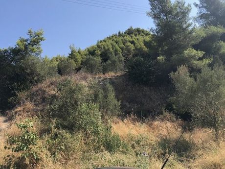 Αγροτεμάχια 4.000τ.μ. για πώληση-Σικυώνα » Μούλκι