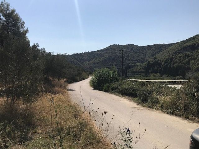 Αγροτεμάχια 4.000 τ.μ. πρός πώληση, Κορινθία, Σικυώνα