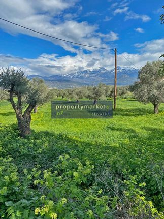 Οικόπεδο 14.000 τ.μ. για πώληση, Ν. Ηρακλείου, Τυμπάκι