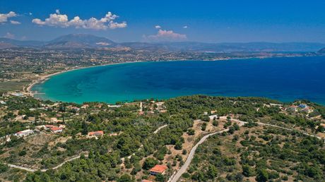 Αγροτεμάχια 4.600τ.μ. για πώληση-Κρανίδι » Κουνούπι