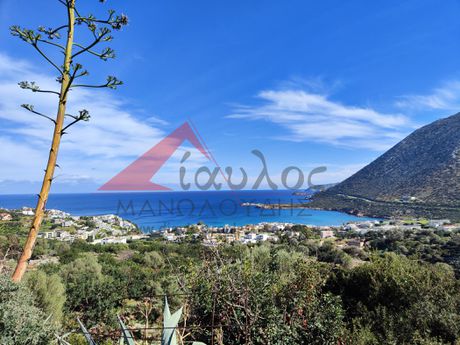Αγροτεμάχια 14.799τ.μ. για πώληση-Γεροπόταμος » Μπαλί