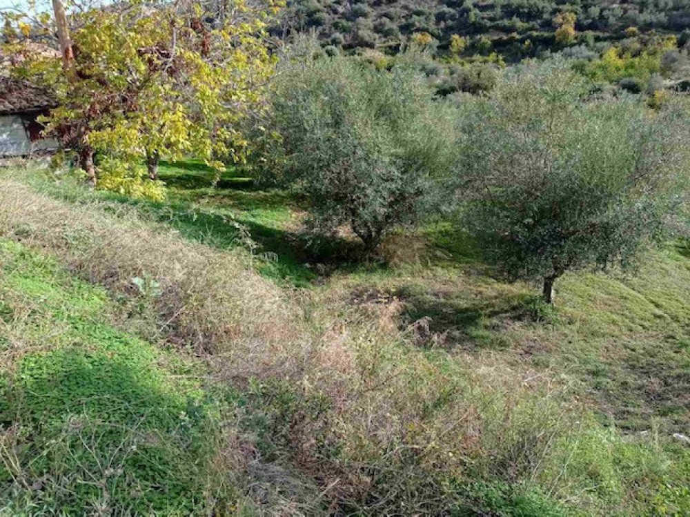 Οικόπεδο 2.050 τ.μ. πρός πώληση, Κορινθία, Ξυλόκαστρο