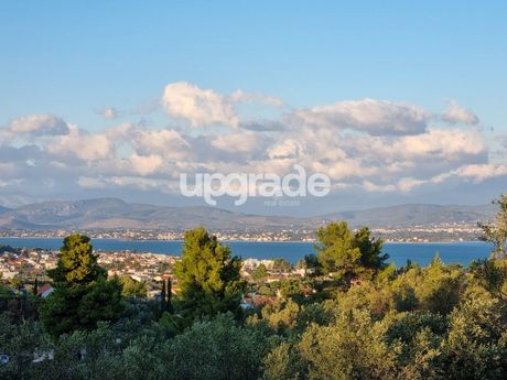 Αγροτεμάχια 6.955τ.μ. για πώληση-Αυλίδα » Παραλία αυλίδας