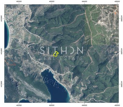 Αγροτεμάχια 11.935 τ.μ. για πώληση