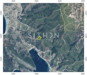 Αγροτεμάχια 11.935 τ.μ. για πώληση