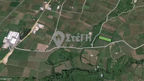 Parcel 5.000sqm for sale-Naousa » Stathmos
