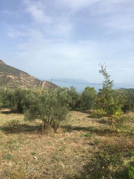 Οικόπεδο 919 τ.μ. για πώληση