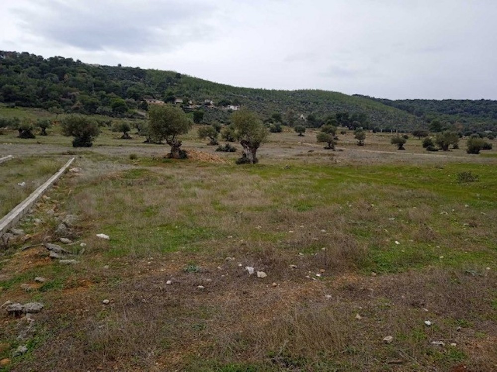 Οικόπεδο 644 τ.μ. πρός πώληση, Αττική - Υπόλοιπο, Μάνδρα