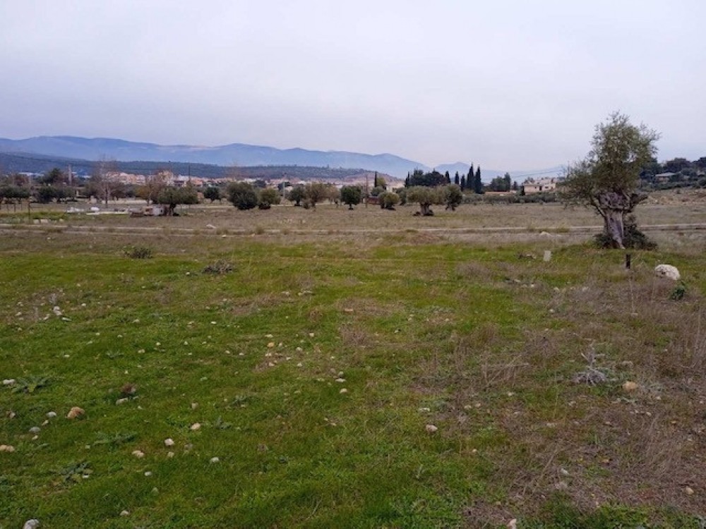 Οικόπεδο 644 τ.μ. πρός πώληση, Αττική - Υπόλοιπο, Μάνδρα