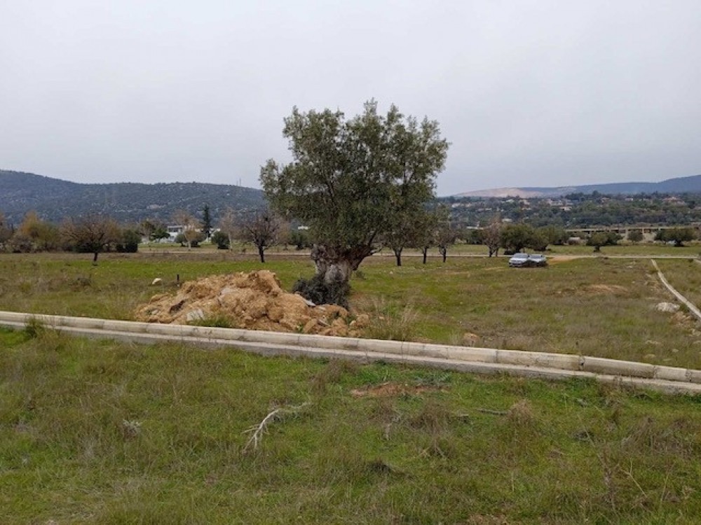 Οικόπεδο 644 τ.μ. πρός πώληση, Αττική - Υπόλοιπο, Μάνδρα