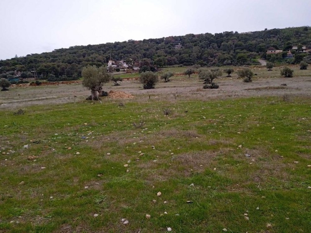 Οικόπεδο 644 τ.μ. πρός πώληση, Αττική - Υπόλοιπο, Μάνδρα